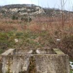faliesi evasione