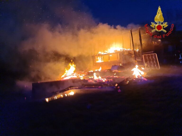 FOTO / Pratola Serra, baracca in fiamme: due squadre dei vigili del fuoco al lavoro