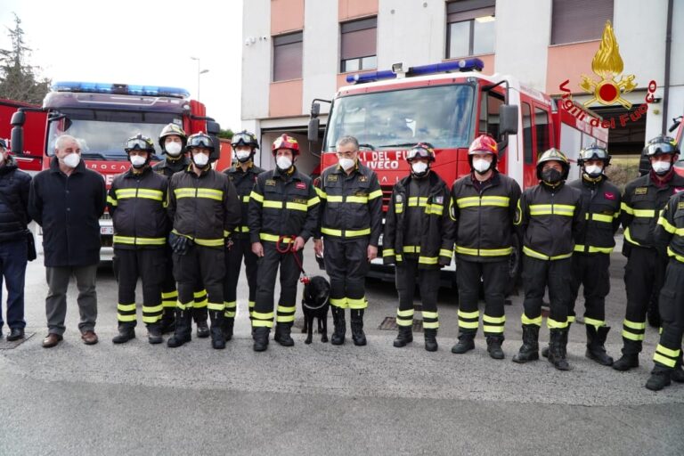 VIDEO/ Sasha, il cane pompiere va in pensione: salvò due bimbi dalle macerie di Amatrice