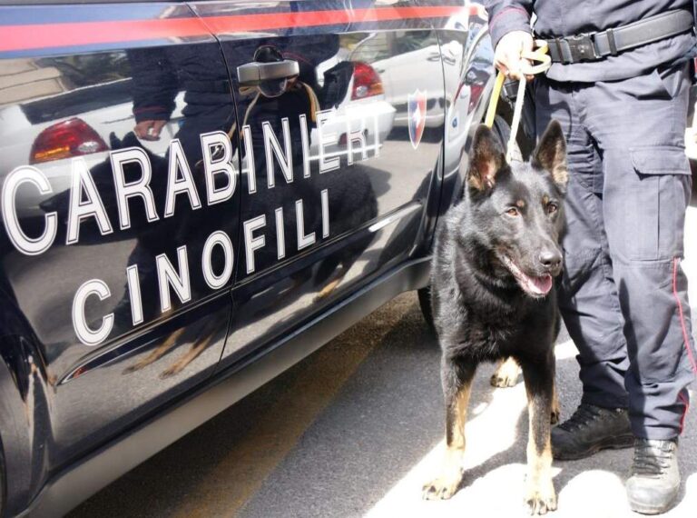 Ariano Irpino, controlli antidroga nei pressi di istituti scolastici