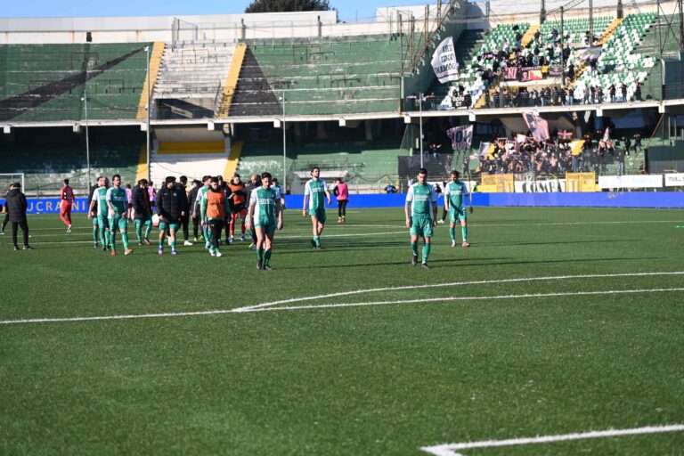 L’Avellino cade in casa, al “Partenio-Lombardi” passa il Palermo: 1-2