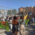 sciopero clima 29