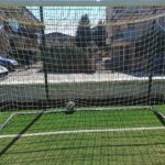 torelli campo 12