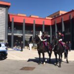 polizia cavallo