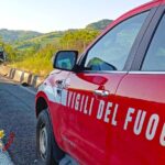 vigili