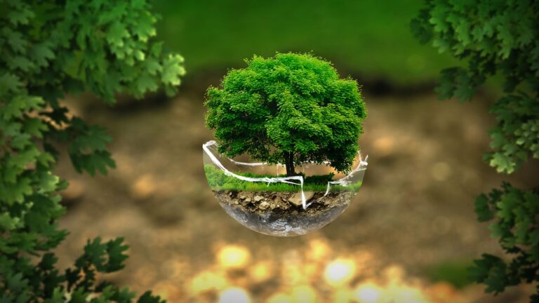 Cresce la sensibilità ambientale degli italiani: consapevolezza o necessità?