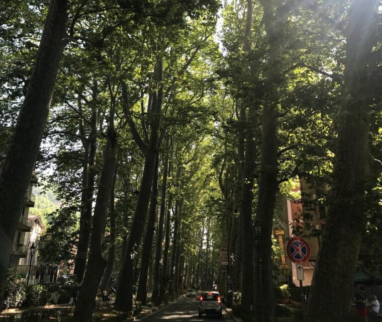 Mercogliano, da oggi viale San Modestino isola pedonale nelle domeniche e nei festivi
