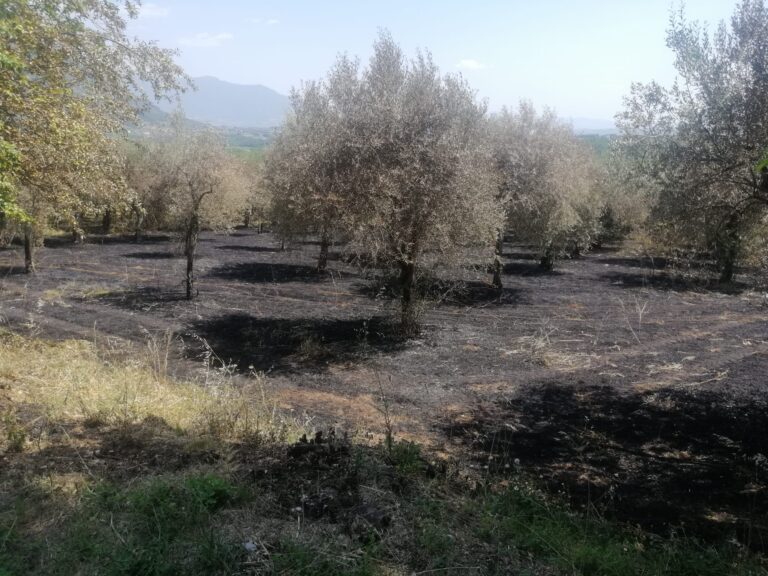 Appicca il fuoco con un accendino: individuato piromane