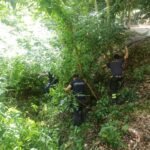 carabinieri e vigili