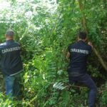 carabinieri prata stazione 3