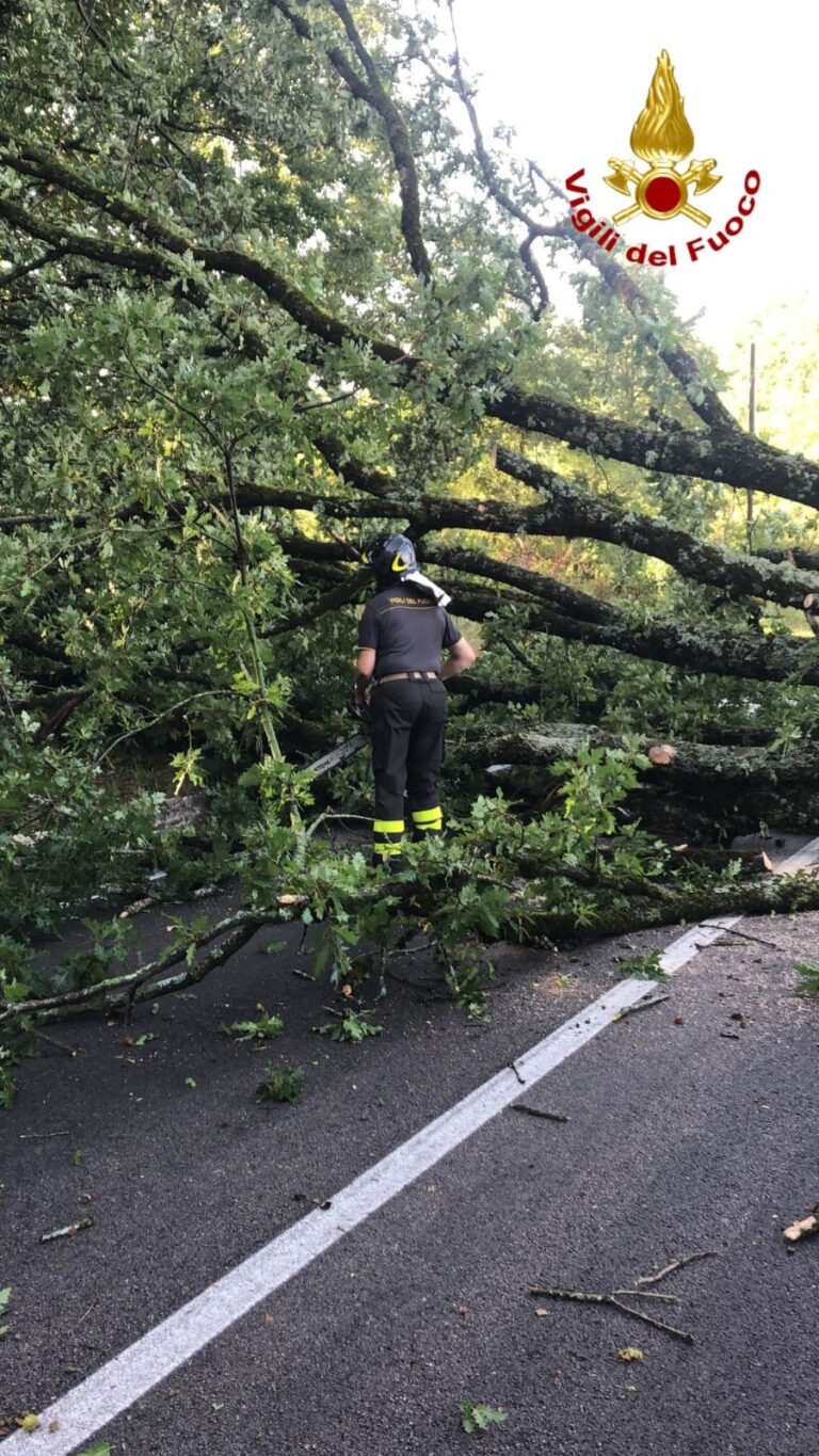 Maltempo nella notte, diversi gli interventi dei Vigili del Fuoco in Irpinia