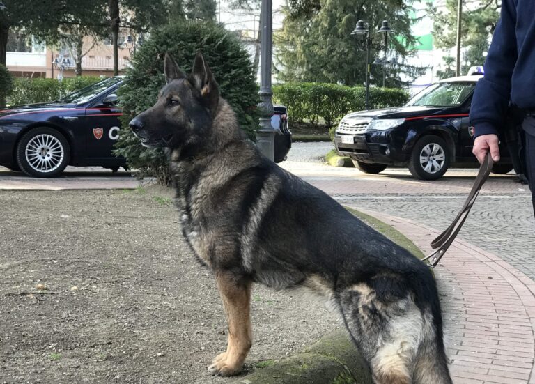 “Ferragosto sicuro”, intensificati i controlli dei Carabinieri di Avellino