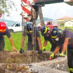 vigili mucca 1