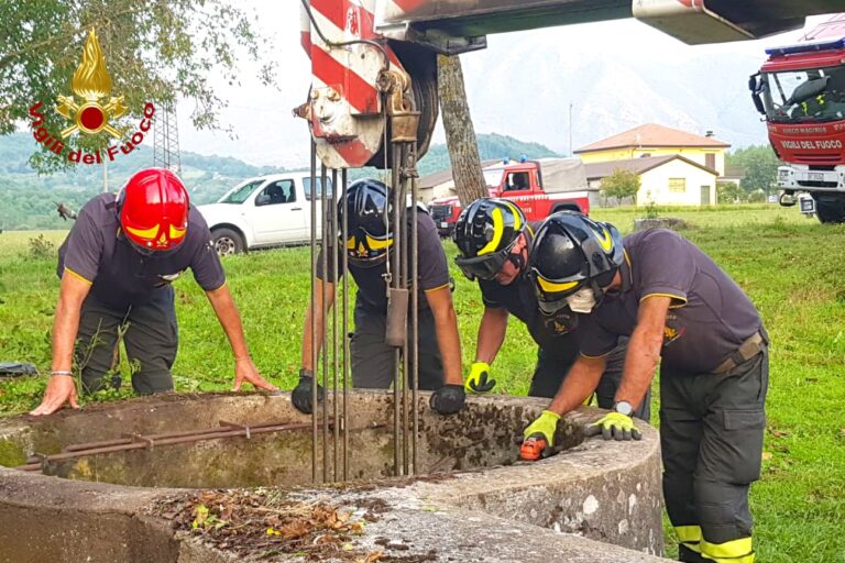 FOTO / Montella, vigili del fuoco salvano mucca precipitata in un pozzo di 15 metri