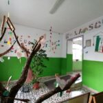 scuola cesinali 4