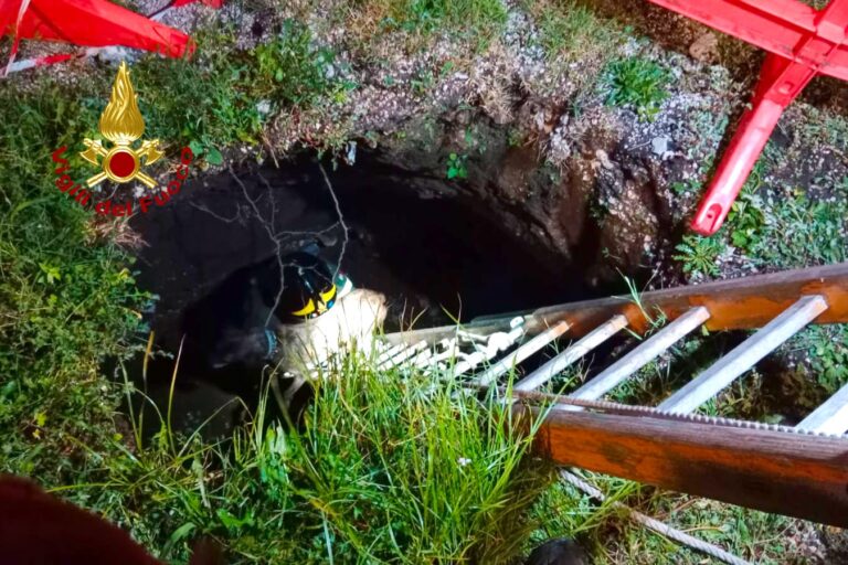 FOTO / Baiano, cane finisce in una buca di sei metri: salvato dai vigili del Fuoco