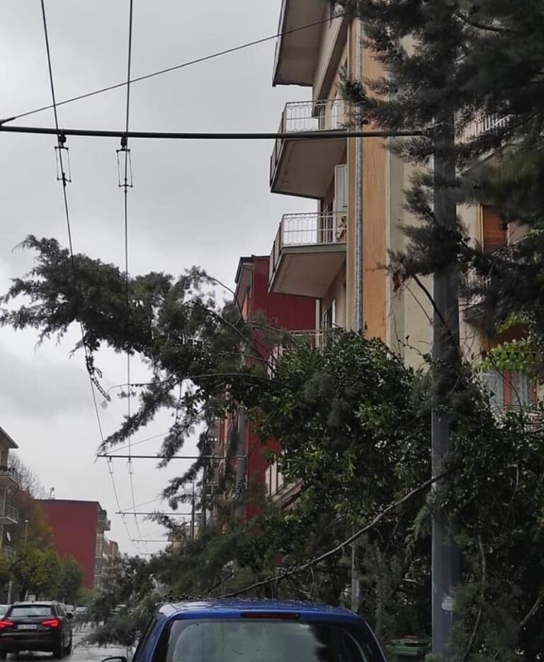 Irpinia tra acqua e vento: albero cade sui fili della Metro Leggera in città