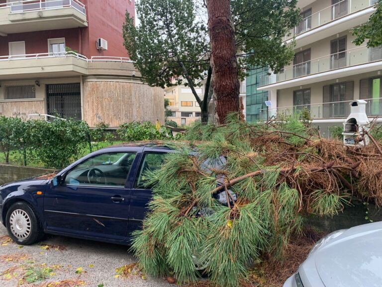 VIDEO/Maltempo in Irpinia: i Vigili del Fuoco di Avellino alle prese con allagamenti e caduta di alberi