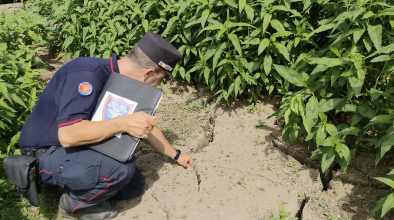 Altavilla Irpina, 4 denunce e sanzioni per disboscamento e lavori abusivi che hanno causato una frana