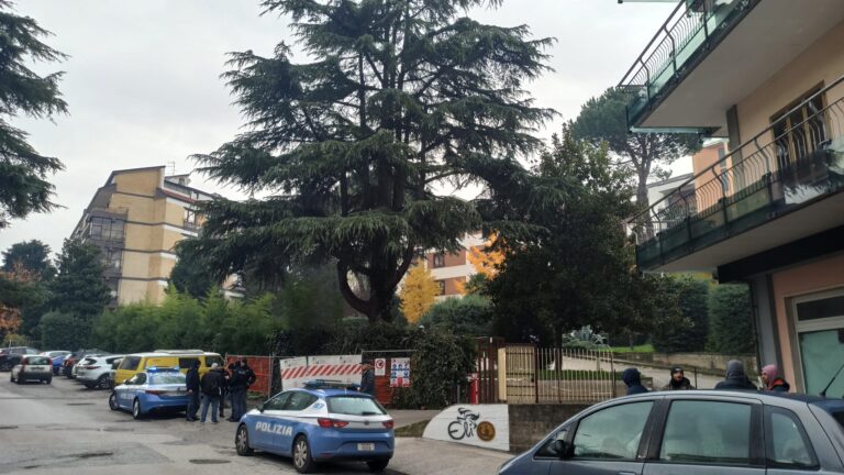 FOTO / A difesa della storia della città, il cedro libanese per ora è salvo