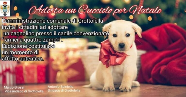 “Adotta un cucciolo per Natale”: campagna di sensibilizzazione a Grottolella
