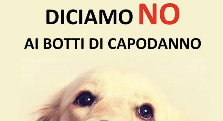 Capodanno senza botti in Irpinia: ordinanze e divieti in pochi Comuni della provincia