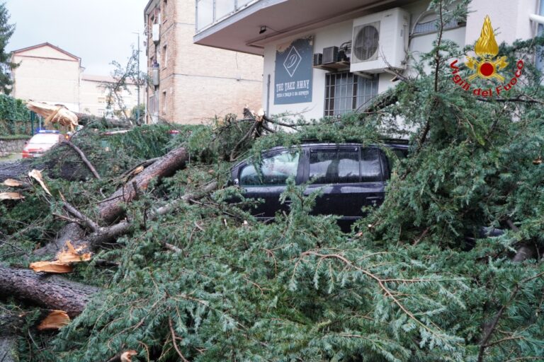 FOTO/ Maltempo, Irpinia tra forte vento e pioggia: la conta dei danni