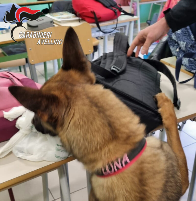 FOTO / Luna e Attila in azione, controlli antidroga nelle scuole di Ariano Irpino