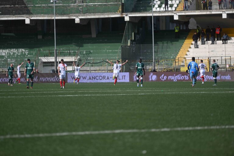 L’Avellino cade ancora in casa, il Picerno passa al Partenio-Lombardi:0-2