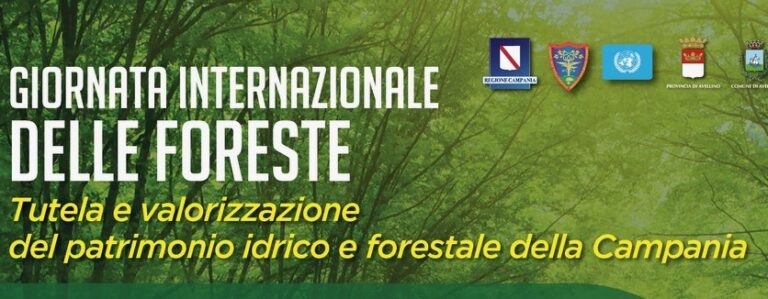 Giornata internazionale delle Foreste: convegno della Regione ad Avellino