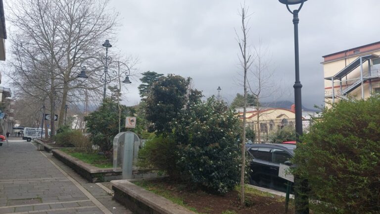 Le battaglie di Legambiente danno nuova linfa al verde urbano