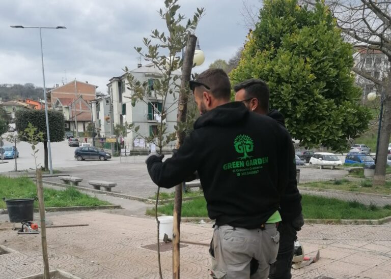 Grottaminarda, 223 nuovi alberi da piantare: pronti, via