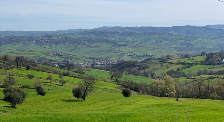 Traliccio di 30 metri per la telefonia in un’area rurale: no degli agricoltori