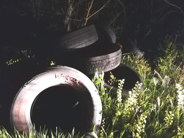 Scempio ambientale: decine di pneumatici sversati nel verde della SP 36