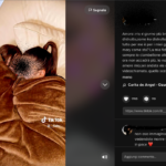 15enne montefalcione