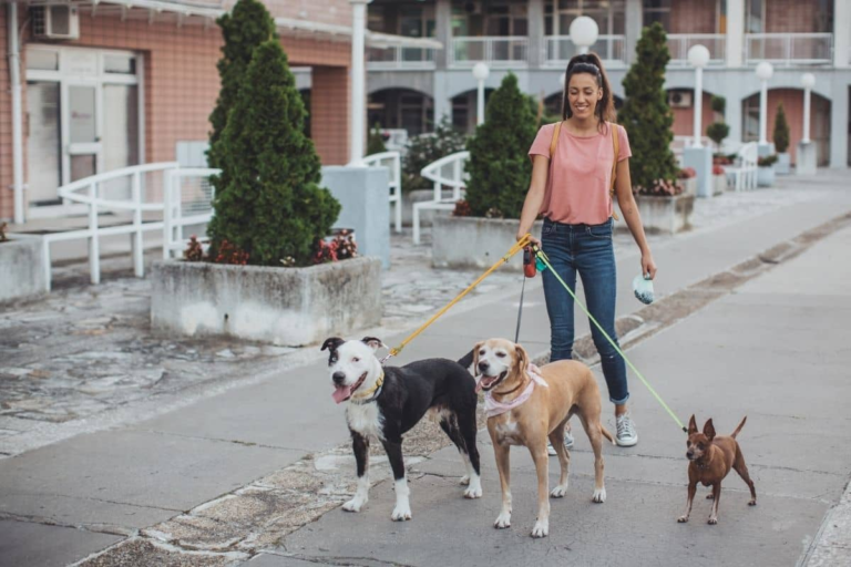 Idee imprenditoriali redditizie mentre studi con un investimento minimo