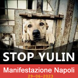 Logo_Stop_Yulin_