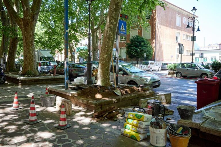 Viale Italia, via al piano di manutenzione delle aiuole dei Platani