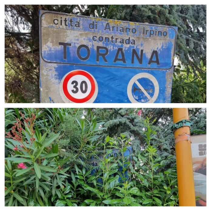 Cartello_ripulito_Ariano