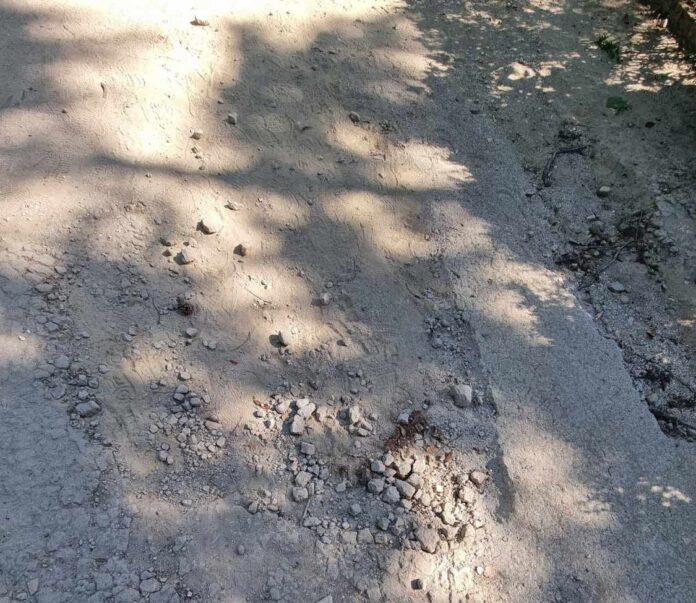Viale_Villa_Ariano 2