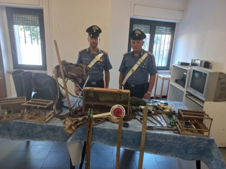Amorosi, denunciato uomo dedito alla pratica dell’uccellagione