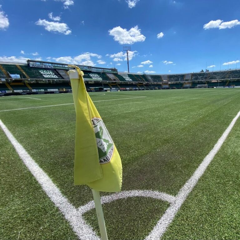 Stadio Partenio – Lombardi, ultimati i lavori del manto erboso