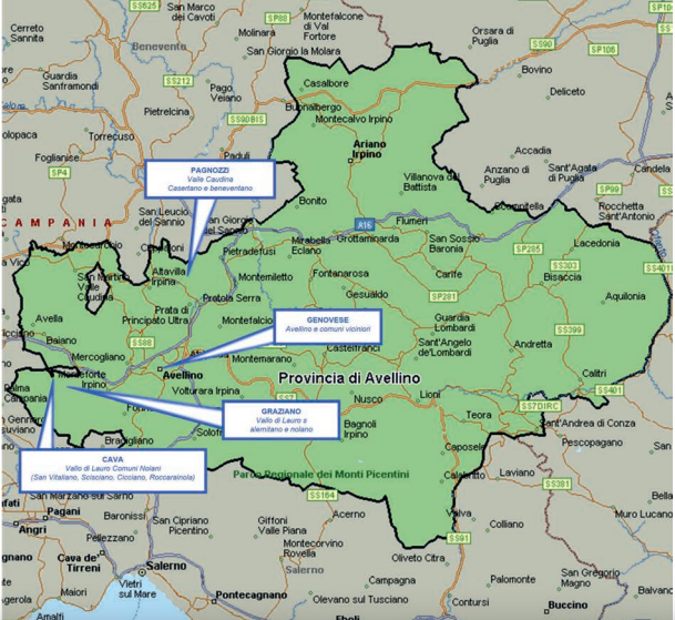 Alleanze, scarcerazioni e clan indeboliti  dai blitz: la mappa della Dia della camorra in Irpinia