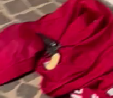 Omicidio_Grottaminarda_ revolver