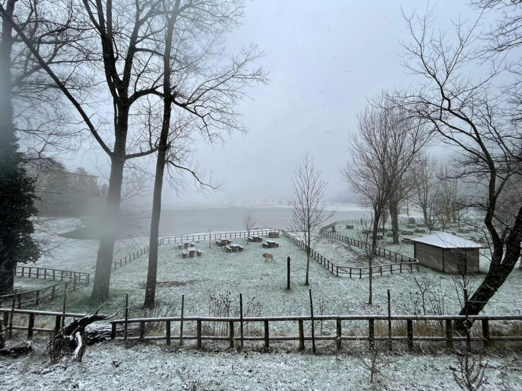 Prima_Neve_Laceno