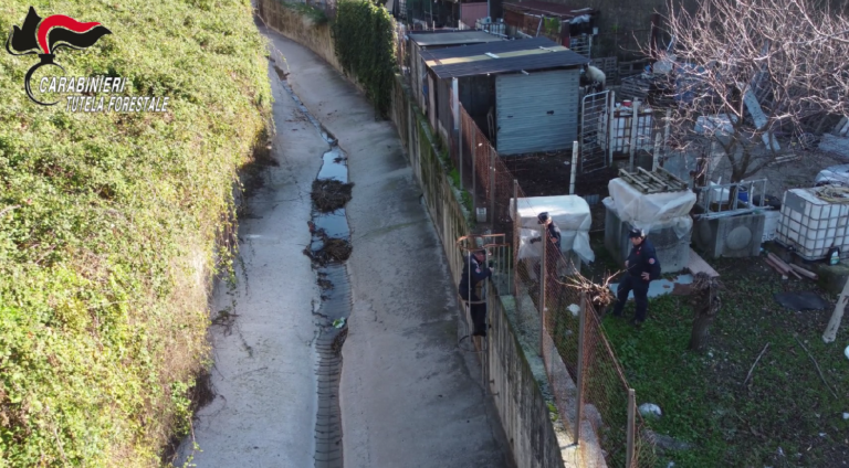 Carabinieri_Forestale