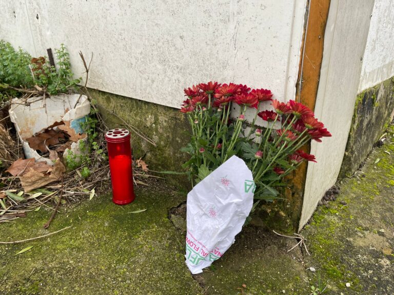 Professoressa morta investita, il Sindaco: “la ricorderemo con una manifestazione a scuola”