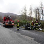 WhatsApp Image 2023-12-22 at 13.11.53