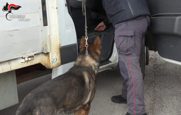 Controlli e perquisizioni da parte dei Carabinieri con l’ausilio di unità cinofile
