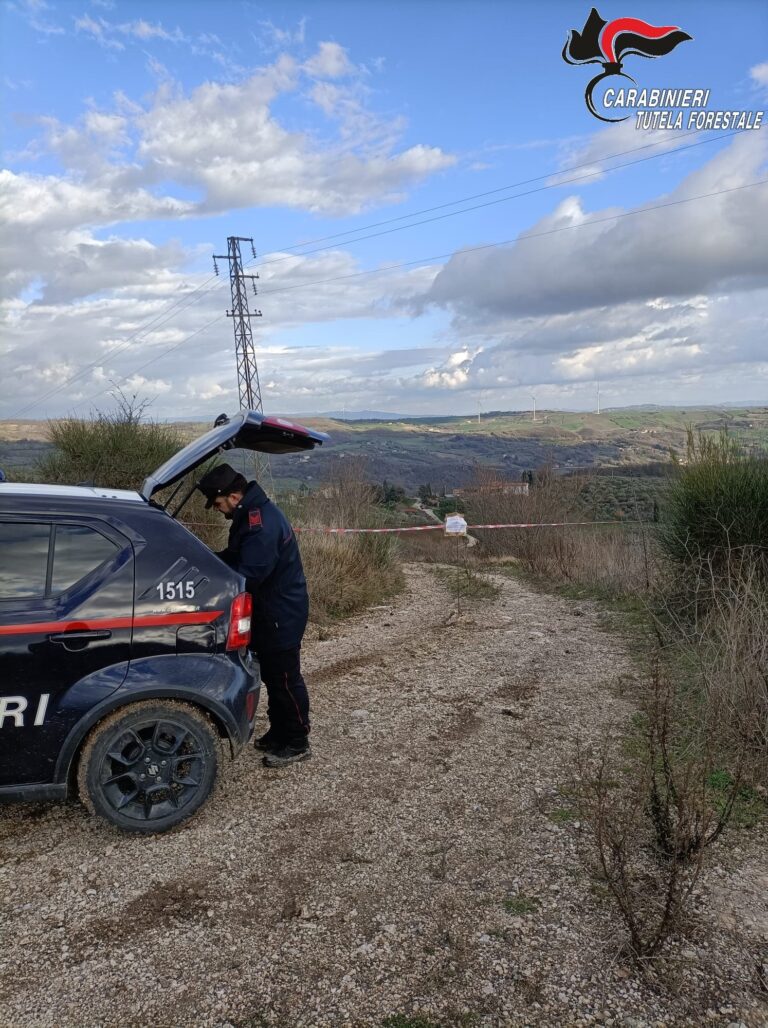 Cava abusiva, blitz dei Carabinieri a Pontelandolfo